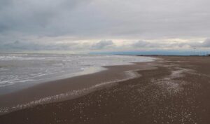 Read more about the article چمخاله در زمستان هم دیدنی است