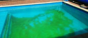 Read more about the article آموزش رفع سبز شدن آب استخر با راهکارهای عملی و علمی