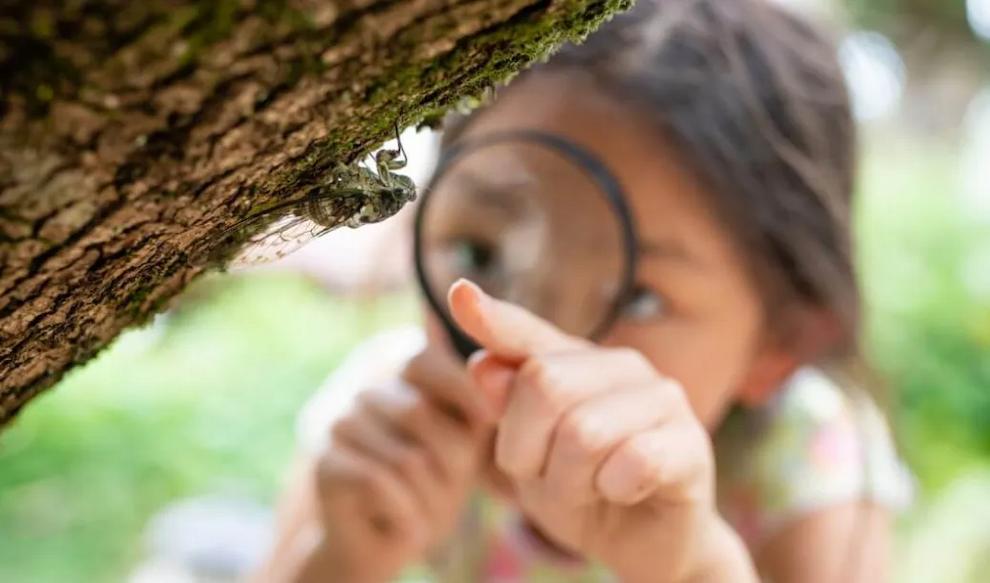 You are currently viewing مایکرو سافاری ترند تازه گردشگری حیات‌وحش در سال ۲۰۲۵